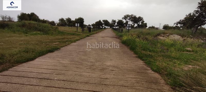 Foto a72bb886-e16e-4116-9463-435602bb7ed8. Terreny residencial a Viso (El)