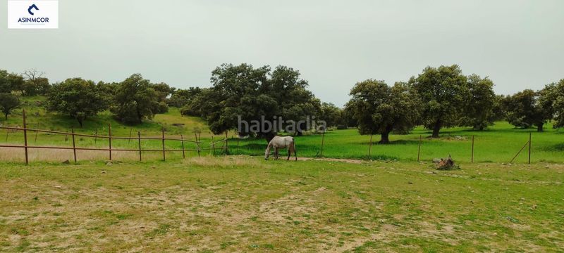 Foto aaf97d47-6c6a-41d4-89be-8241c5dc1a3d. Terreny residencial a Viso (El)