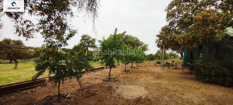Foto acad2871-1f81-4207-82f2-516ac018f413. Terreny residencial a Viso (El)