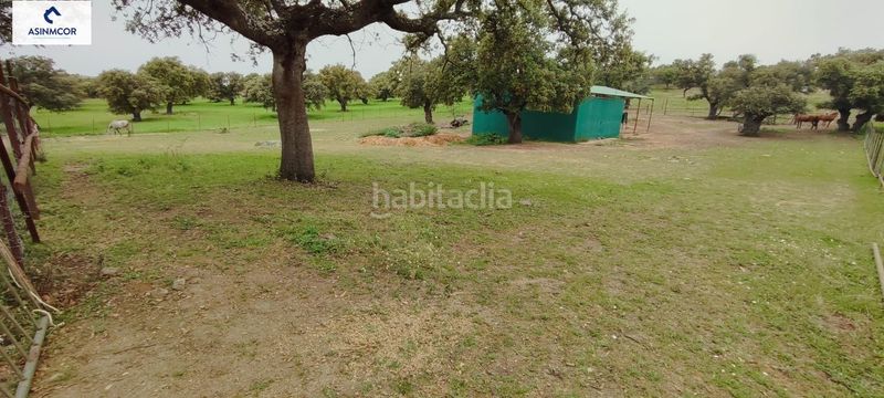 Foto ad41447a-2df6-44ab-ad14-20035d6e6125. Terreny residencial a Viso (El)
