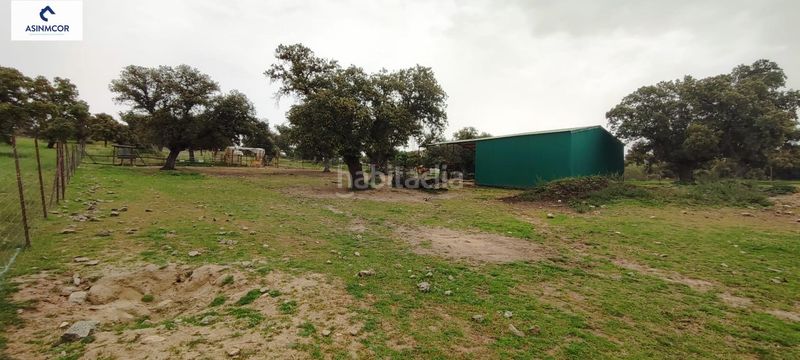 Foto b647ebde-d1c1-4d2f-82e0-180518c78ce1. Terreny residencial a Viso (El)