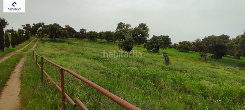 Foto dc89976b-48dc-4f2b-a512-c5ce589df3fe. Terreny residencial a Viso (El)