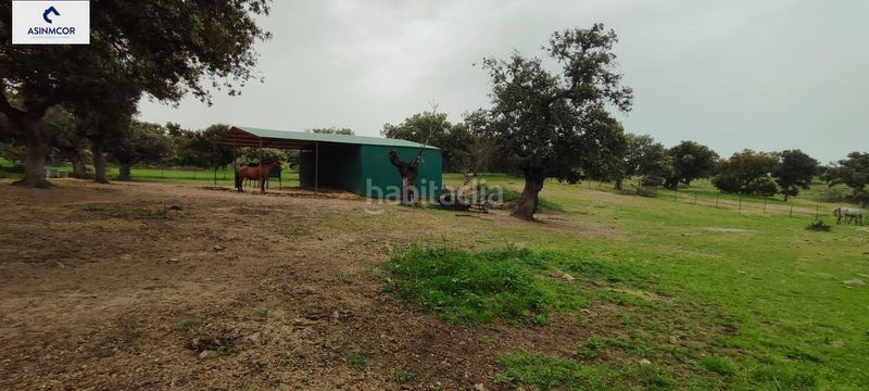 Foto df587db6-077b-4d09-822a-d2fb06a1fd40. Terreny residencial a Viso (El)