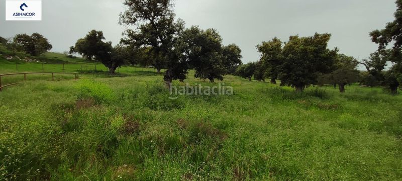 Foto e7b4564b-304e-4993-8383-f7bf49f2a7e7. Terreny residencial a Viso (El)