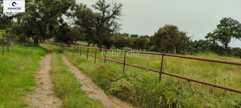 Foto eabb7b14-2fbd-426b-8fbc-d10a8353f0d5. Terreny residencial a Viso (El)