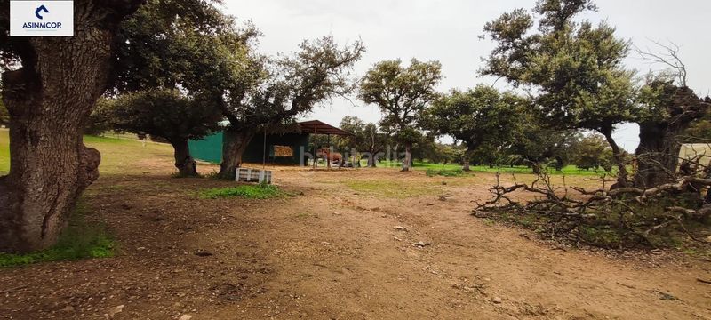 Foto f83413a1-a739-415a-b279-52a4f320ff6c. Terreny residencial a Viso (El)