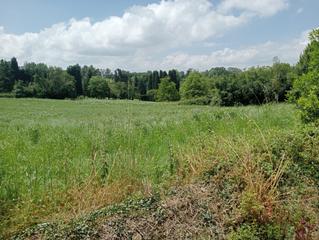 Terreny residencial  Barganiza, la - la barganiza. Descubre esta magnífica finca de 6.000m edificables y ya segrega