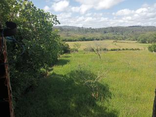 Terreno residencial en Villaviciosa - Aldea la busta