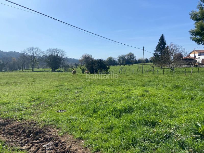 Foto 015ac6cb-b1ea-430f-bf97-d6f67b787248. Terreno residencial en h granda espectacular parcela . próxima a la urbanización. en Llanera