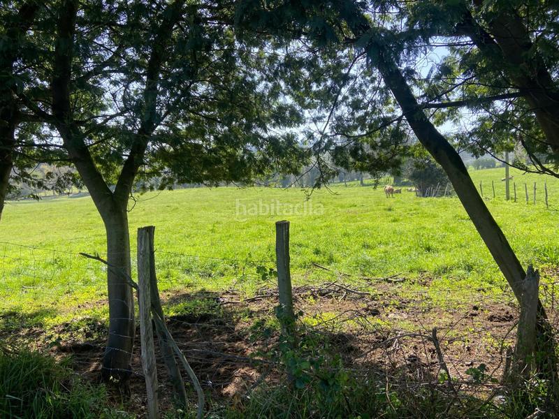 Foto 0dd15260-cac6-4776-a41b-f9a62ef62e77. Terreno residencial en h granda espectacular parcela . próxima a la urbanización. en Llanera