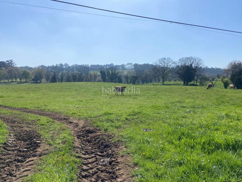 Foto 2dec08a9-4997-4827-b297-b6bf8ad13d20. Terreno residencial en h granda espectacular parcela . próxima a la urbanización. en Llanera