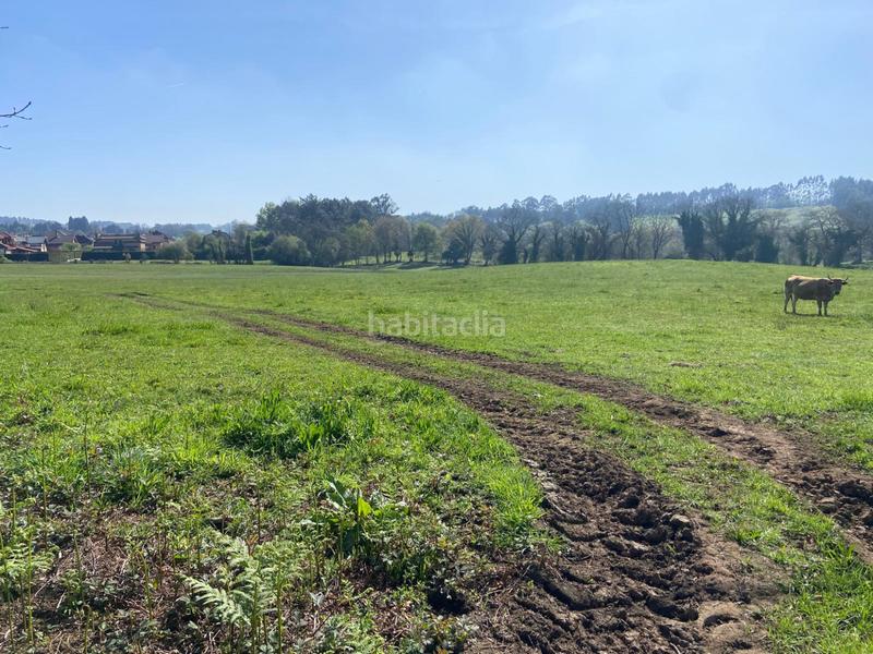 Foto 3e25398c-83ab-46ff-90a2-561e8f58383b. Terreno residencial en h granda espectacular parcela . próxima a la urbanización. en Llanera