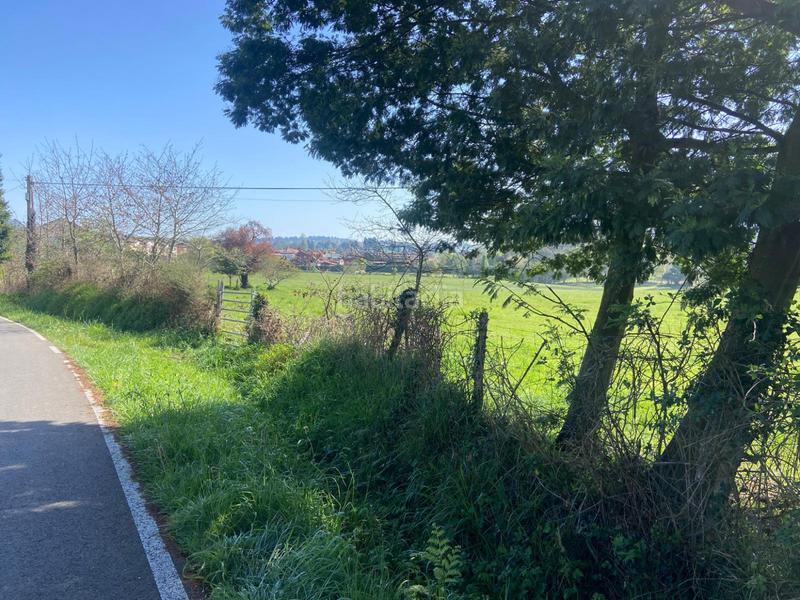 Foto 452306ea-c068-4fdf-b74f-db1256eb5516. Terreno residencial en h granda espectacular parcela . próxima a la urbanización. en Llanera