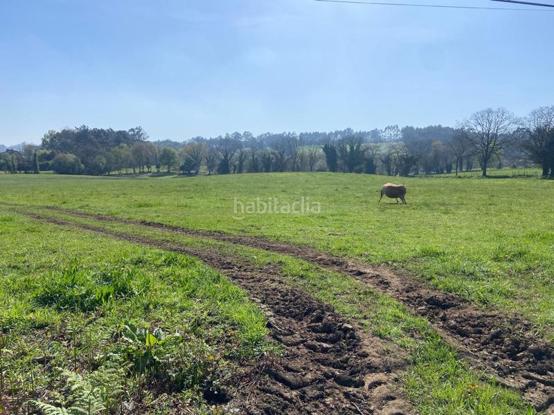 Foto 7bcd0681-2cb7-45ad-88fd-7706891fcb7f. Terreno residencial en h granda espectacular parcela . próxima a la urbanización. en Llanera