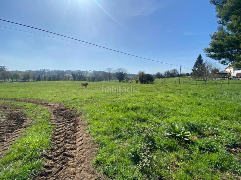 Foto a3c0a610-79ee-4063-acf0-b089ab37e3fb. Terreno residencial en h granda espectacular parcela . próxima a la urbanización. en Llanera