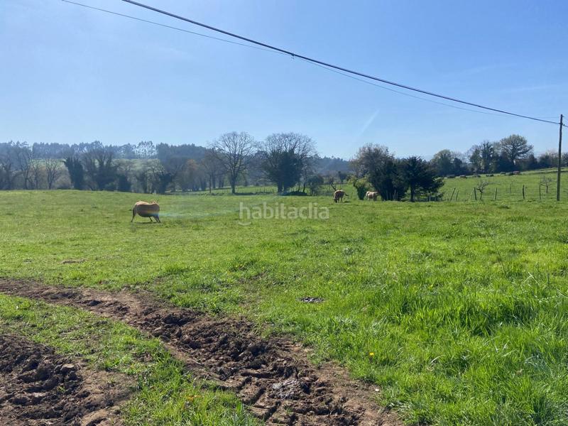 Foto a699d1af-9ceb-4f4a-94d7-ed65bae59dd2. Terreno residencial en h granda espectacular parcela . próxima a la urbanización. en Llanera