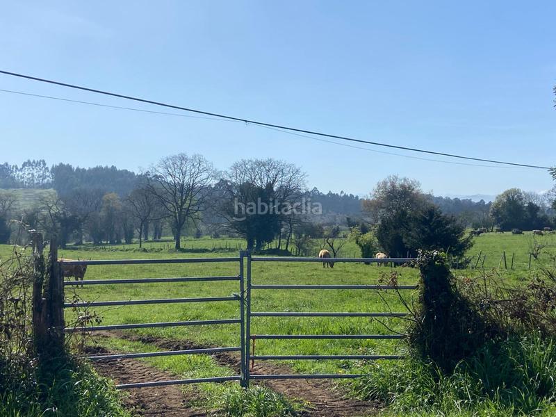 Foto bc7af622-6a36-4bcf-b221-2e9dd8166705. Terreno residencial en h granda espectacular parcela . próxima a la urbanización. en Llanera