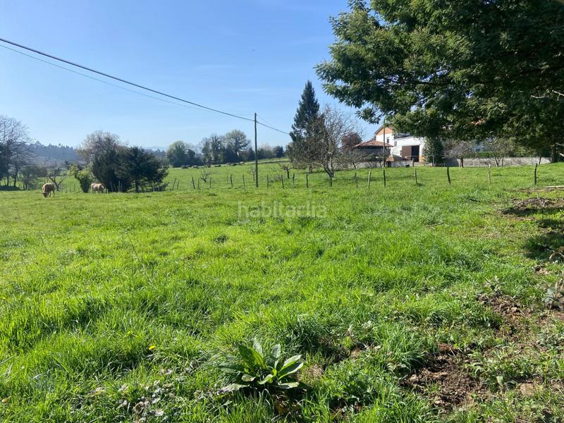 Foto dff94c3c-fe9a-4d0b-9fbd-ca0635d92bd3. Terreno residencial en h granda espectacular parcela . próxima a la urbanización. en Llanera