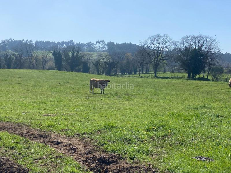 Foto e6a51e88-54e2-4240-8c3f-e2f29a5610e6. Terreno residencial en h granda espectacular parcela . próxima a la urbanización. en Llanera