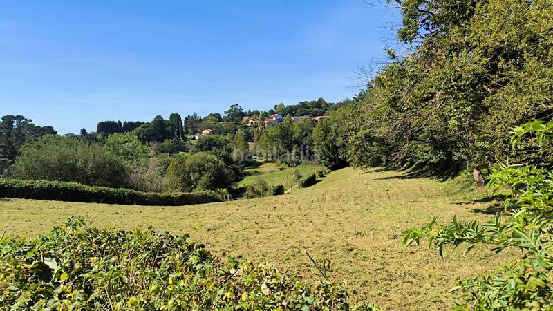 Foto 03e96ba0-061d-4587-9b37-76d3dda273b4. Residential plot in lugarín in la pola Siero Siero