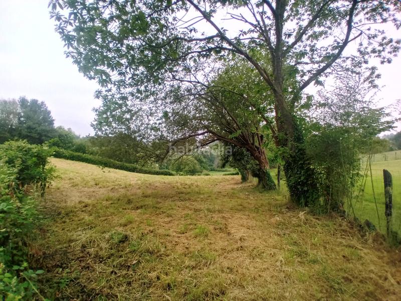 Foto 640dabe2-09c6-4fe7-81fd-046af50a33c2. Residential plot in lugarín in la pola Siero Siero