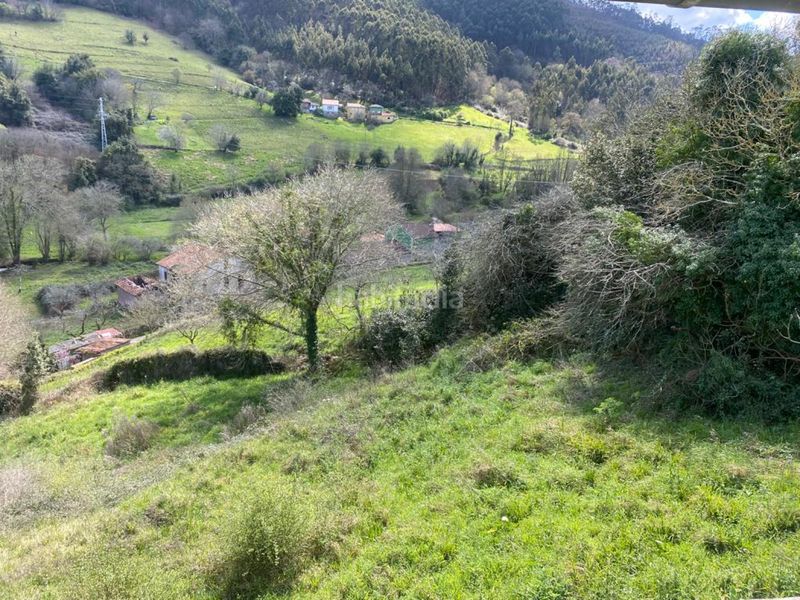 Foto 411f0d87-b3a3-4c7a-a3f4-37f31fa3b49a. Finca rústica a Pillarno - al caleyo el a Pillarno Castrillón