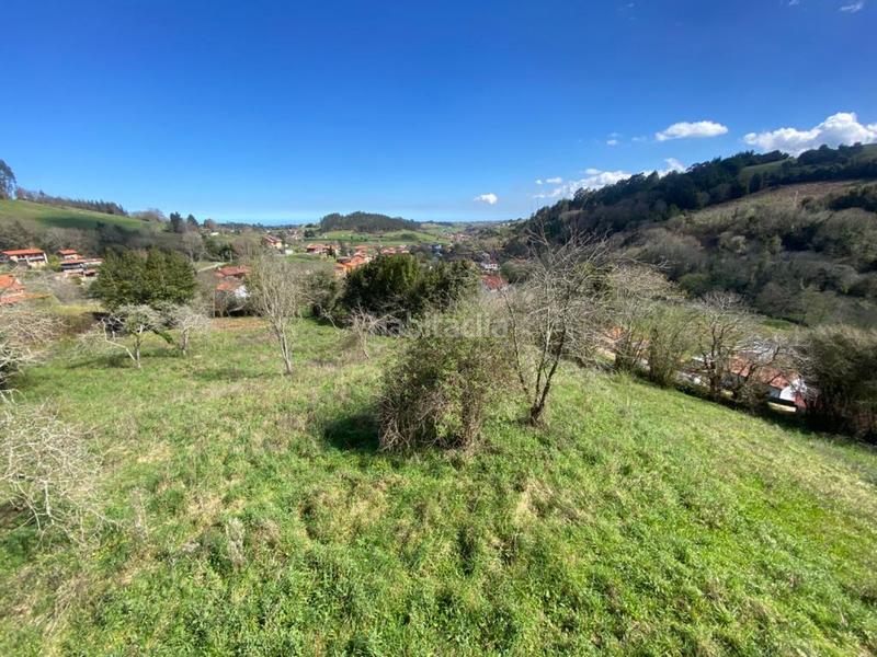 Foto f6b43079-c30a-446f-af7b-944bedd69dc5. Wohngrundstück in Pillarno - al caleyo el in Pillarno Castrillón