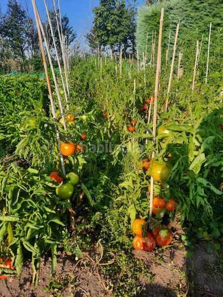 Foto 0207143f-1190-4bc9-a073-0be7d69333f6. Maison avec chauffage parking piscine dans Cuatro Postes Ávila