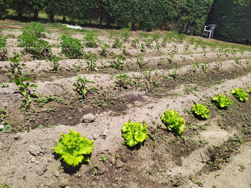 Foto dd58ca0c-8bc1-4e79-84d8-cf626bcdf958. Maison avec chauffage parking piscine dans Cuatro Postes Ávila