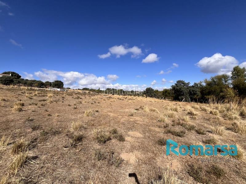 Foto 42a219ff-7cd0-4e89-9c23-709667f98021. Finca rústica a Tolbaños