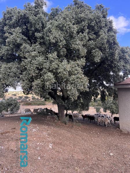 Foto df3a5fe4-b6a8-445d-8c27-efeaa16ea43f. Finca rústica a Tolbaños