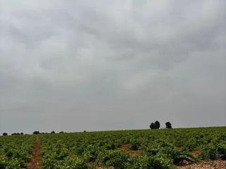 Finca rústica  Cerro