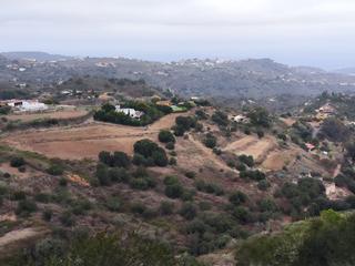 Finca rústica  Lugar pinar de ojeda