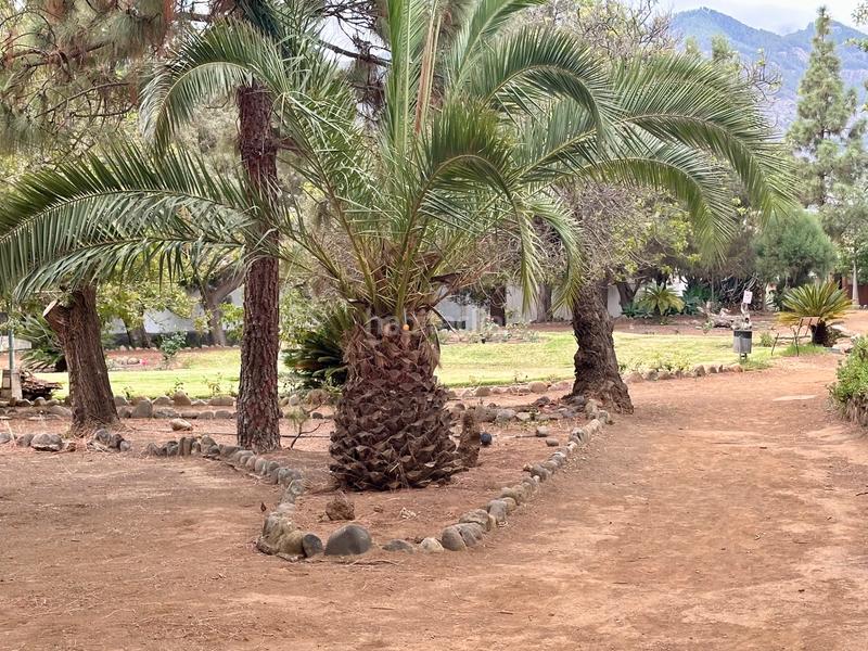 Foto 04123630-e38b-40c4-bfcb-a39d18faf118. Chalet con parcheggio piscina in Valsequillo de Gran Canaria