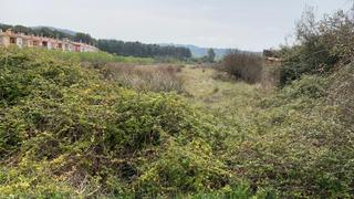 Terrain résidentiel à Carrer de sant miquel 15. Terreno de 7.320 m2 ubicado en el municipio de alcala de xivert