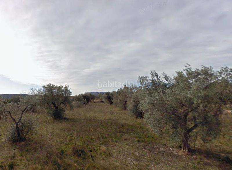 Foto 035e1cd0-1b48-4ecc-a8d4-ca1c530618c0. Finca rústica a n/a a Coves de Vinromà (les)