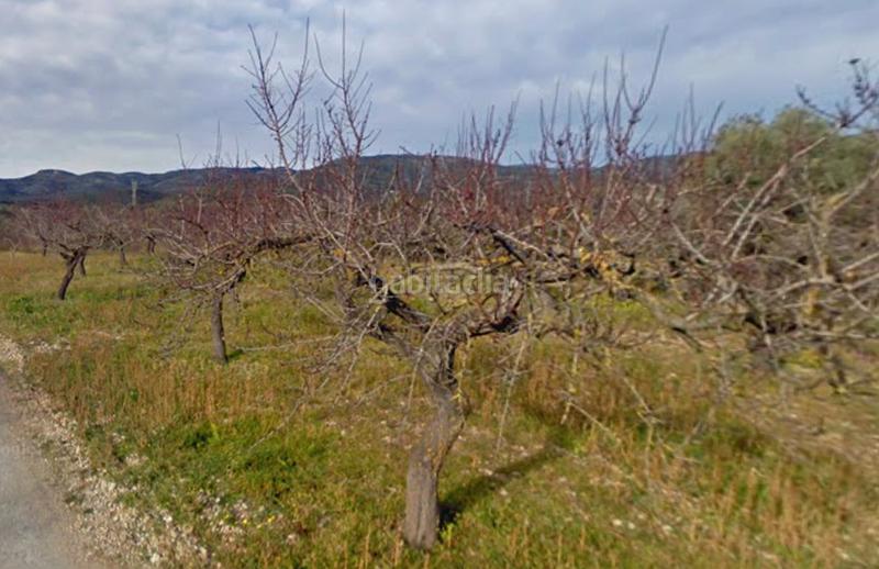 Foto 62882c3e-b29e-4cd2-8b98-9815cbc6d177. Finca rústica a n/a a Coves de Vinromà (les)