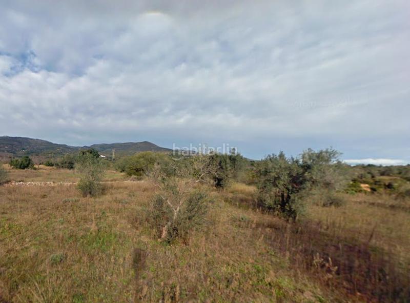 Foto 63c696c4-2690-4d65-9ad2-3788fe0f8777. Finca rústica a n/a a Coves de Vinromà (les)
