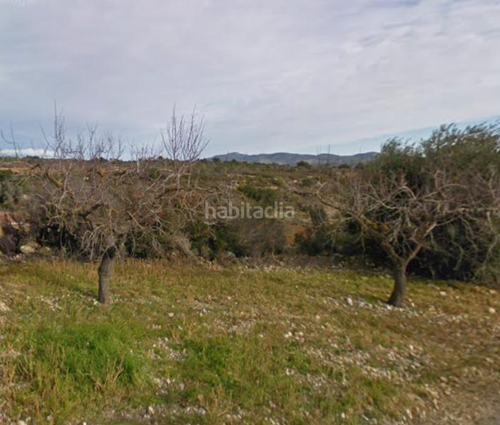 Foto a0657295-8f9a-44b6-bada-6ee16579f7ce. Finca rústica a n/a a Coves de Vinromà (les)