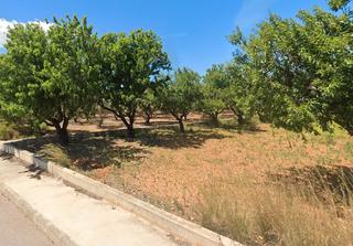 Finca rústica a Torreblanca. Suelo rustico en torreblanca (castellon)