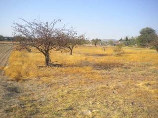Terreny residencial  Esparragosa. Parcela en venta