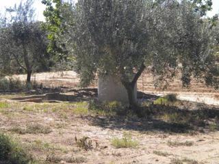 Finca rústica  Rena. Finca en venta