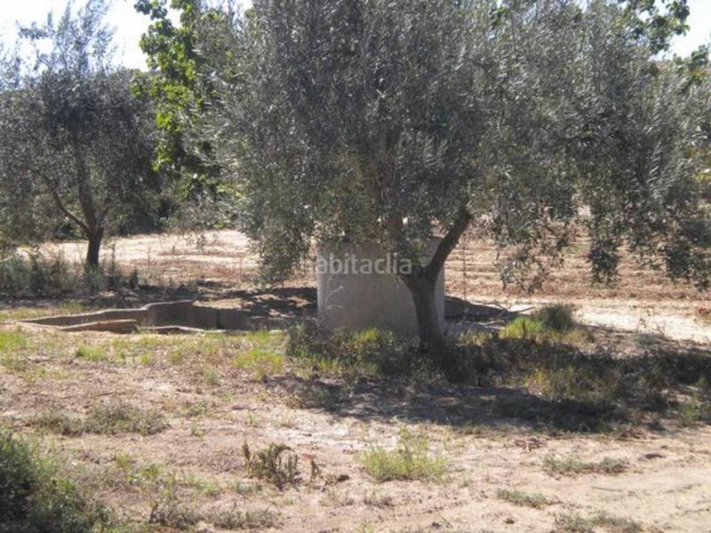Foto 8159c011-f36b-49a0-ba4c-acf49e8e4b68. Finca rústica finca en venta en Rena