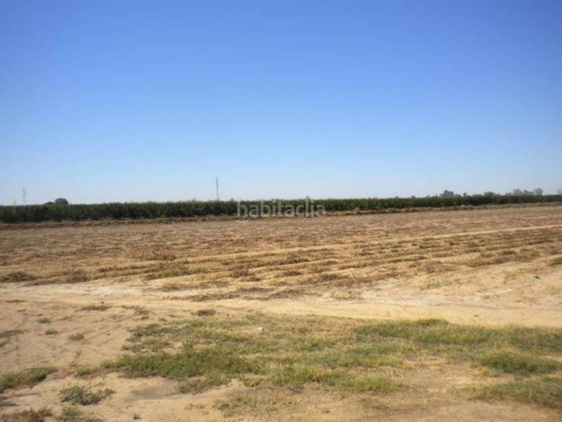 Foto 8af9a38e-e729-400c-ac49-b681cd9c6f56. Finca rústica finca en venta en Rena