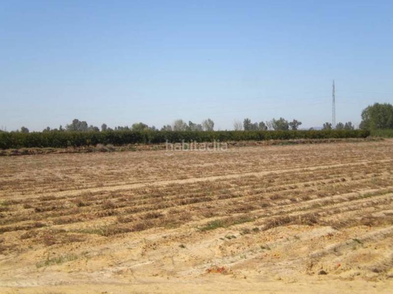 Foto b0fa8674-07ba-403c-bb37-10e947e6aea3. Finca rústica finca en venta en Rena