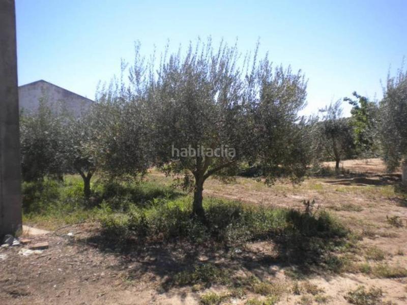 Foto e85f0bd1-eda0-40ed-8c51-60fb772a1039. Finca rústica finca en venta en Rena