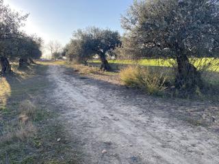 Landgut in Villanueva de la Serena. Finca rustica en venta en villanueva de la serena