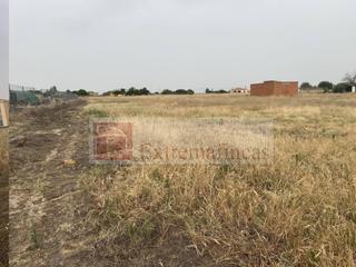 Terreny residencial a Villanueva de la Serena. Parcela en venta en villanueva de la serena