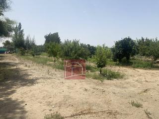 Finca rústica a Villanueva de la Serena. Terreno de regadío con luz  a escasos minutos de villanueva