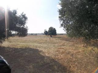 Terreny residencial a Villanueva de la Serena. Parcela en venta